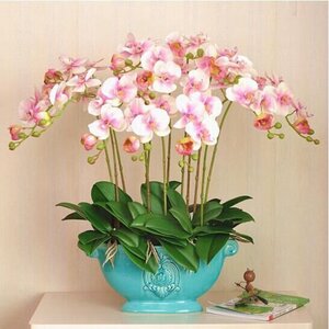 禮尚往來，情誼生香 全年節日花卉禮品精選指南