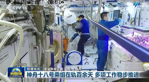 發展新能源、開拓新航線、共享新機遇 多領域乘勢而上推動高質量發展成色十足