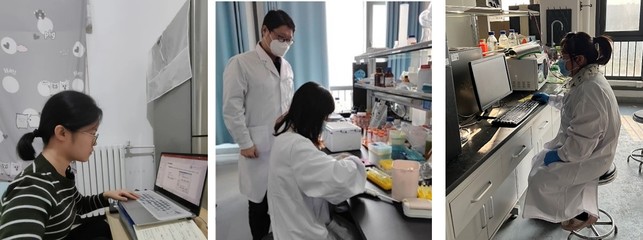 搶抓發展新機遇，奮勇擔當新作為——生命學院在自然科學研究和試驗發展中的使命與路徑